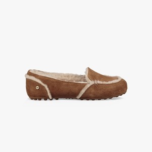 Ugg Hailey Loafer Women Flats Brown (2697JAPWZ)